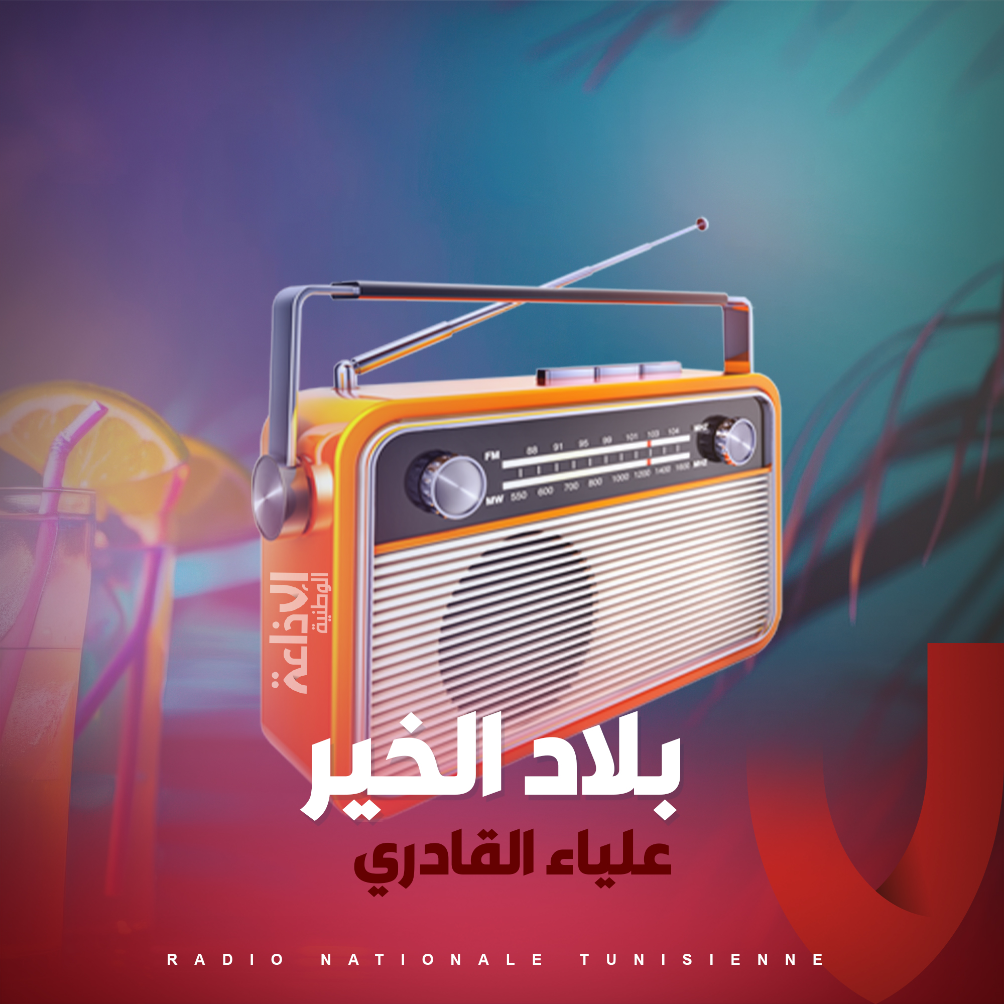 بلاد الخير