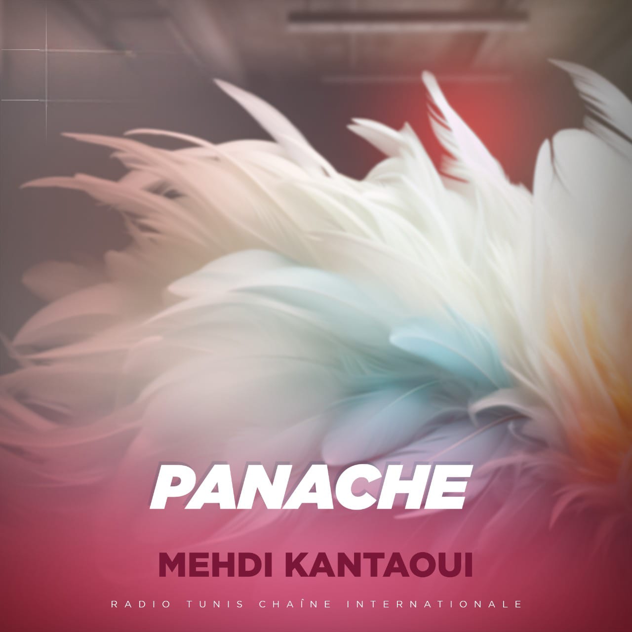 PANACHE