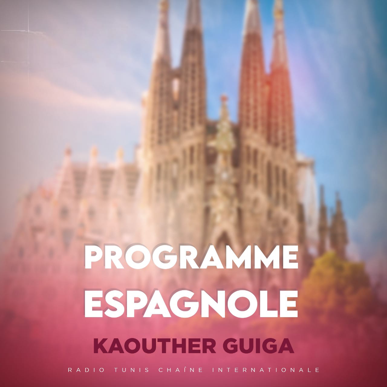 Programme  espagnole