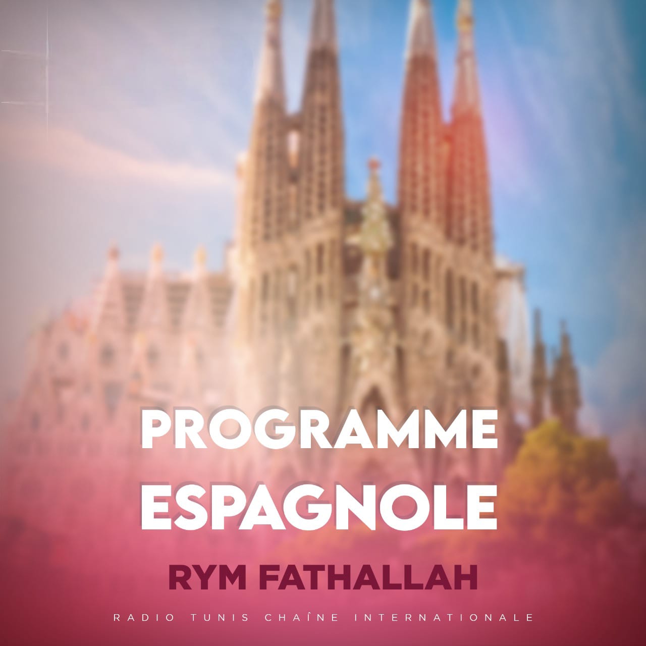 Programme  espagnole