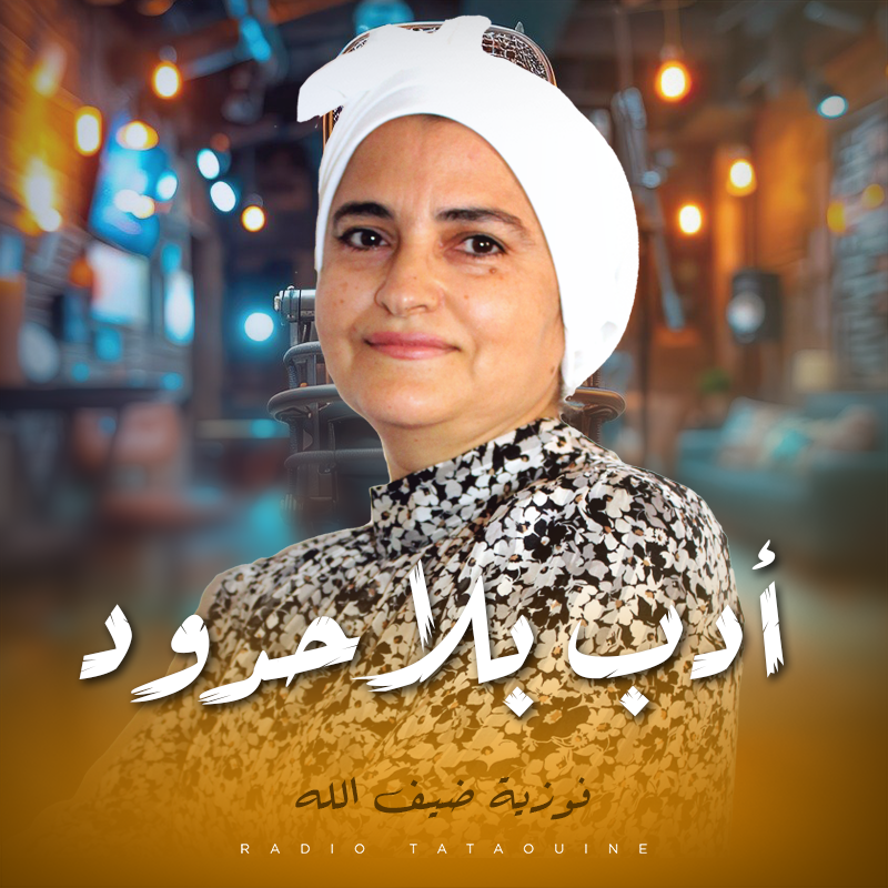 أدب بلا حدود